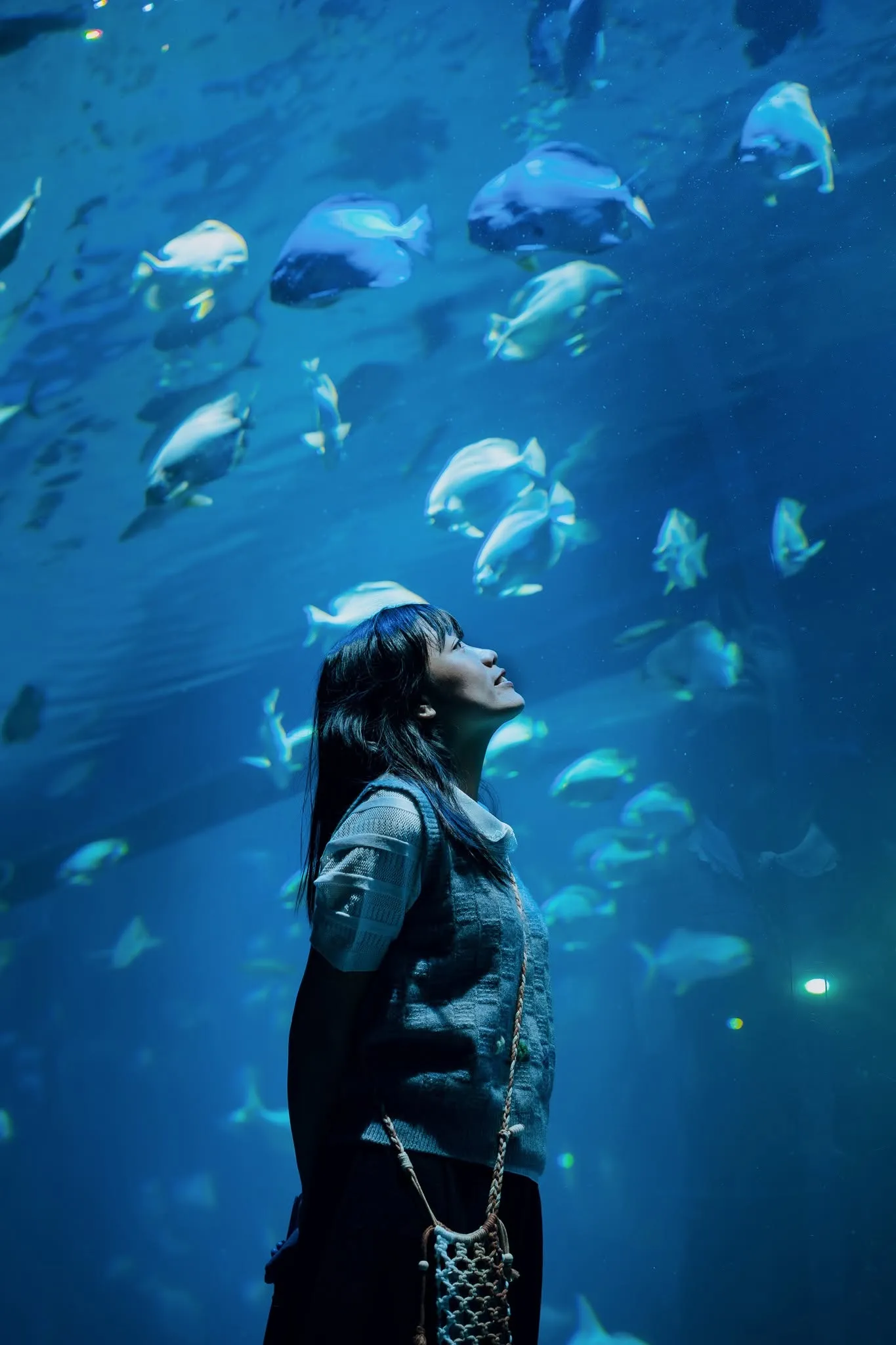aquarium